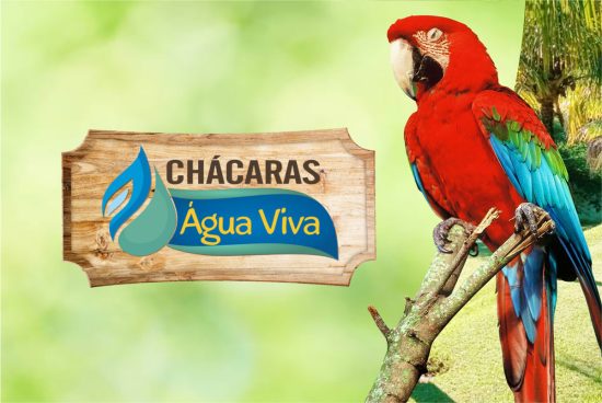 W2M Empreendimentos - Água viva